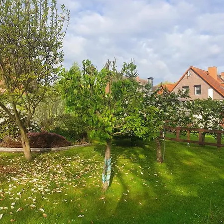 Holiday home Sonnenhaus